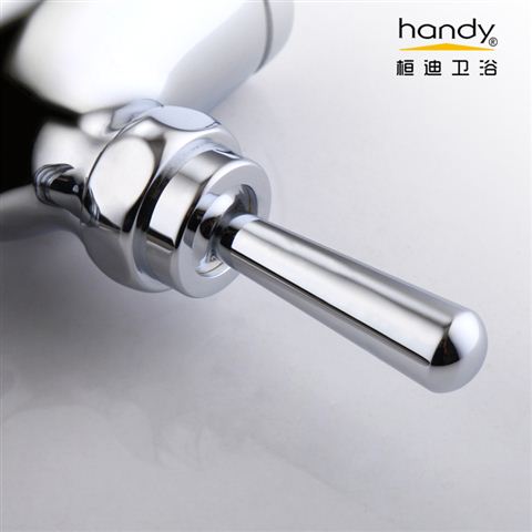 桓迪手把式大便冲洗阀